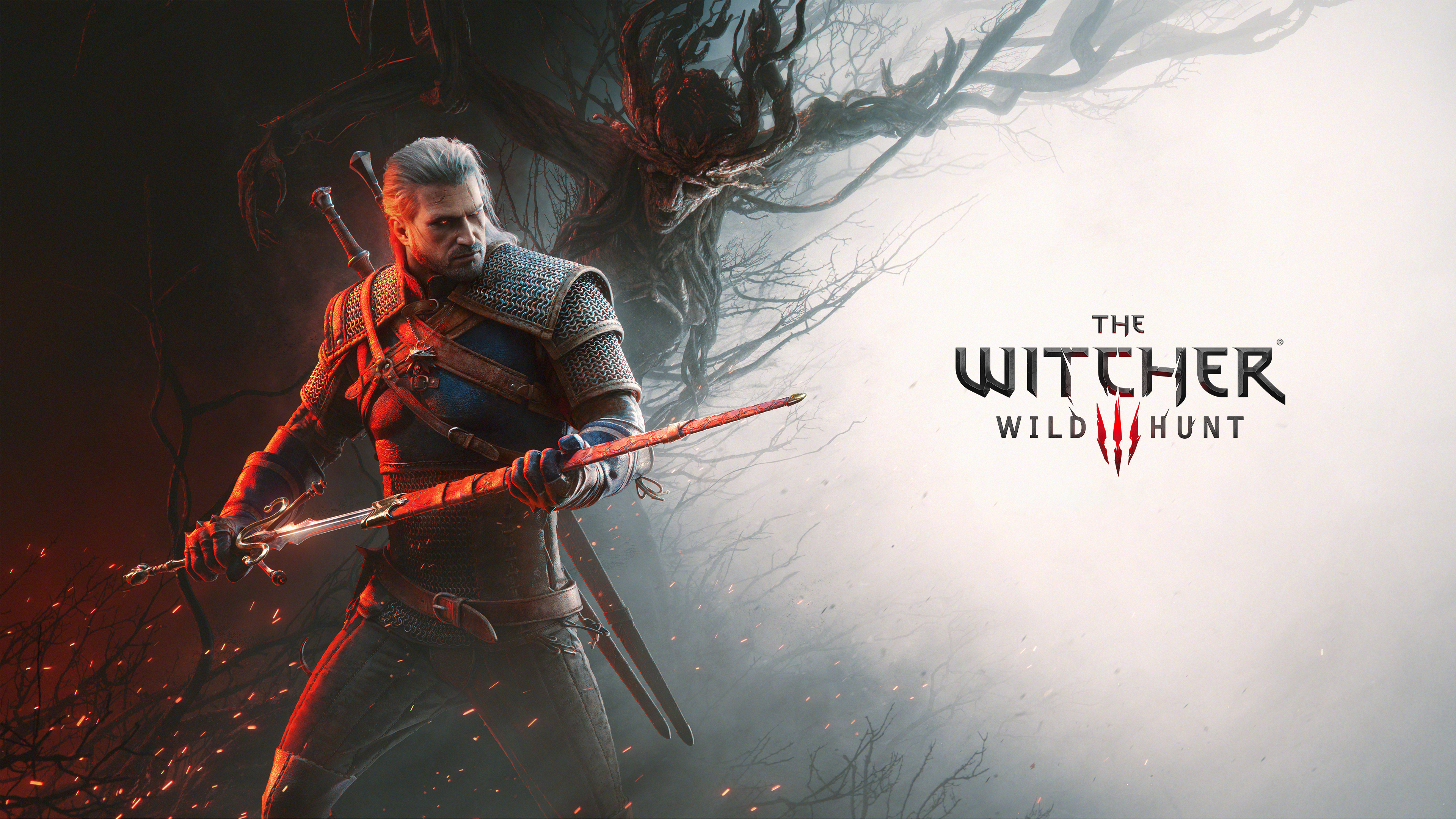 The Witcher 3 Wild Hunt
